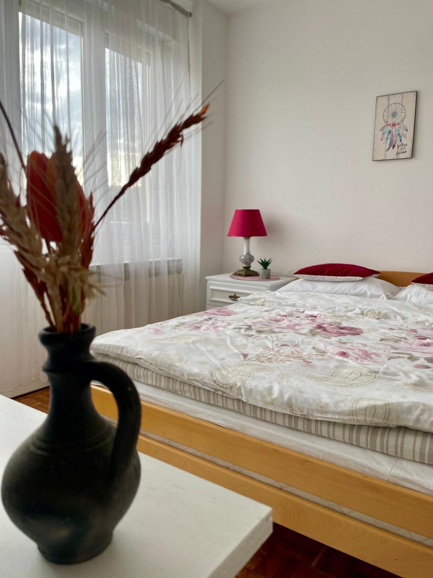 Apartman Maja 巴尼西卢卡 外观 照片
