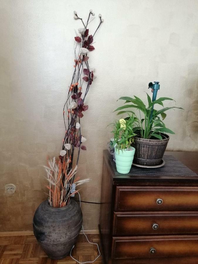 Apartman Maja 巴尼西卢卡 外观 照片